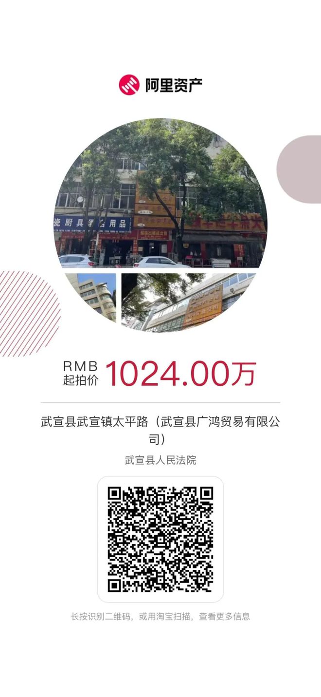 威尼斯9499登录入口司法拍卖 武宣法院双十一上新