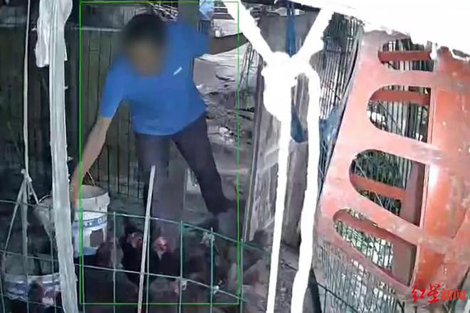 37000Cm威尼斯搅拌站一夜变鸡圈？竟是村民盗窃监控摄像头安装在自家！警方：嫌